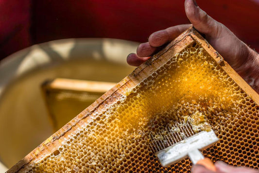 Raw honey vs Pasteurised honey - Sweet Health UK