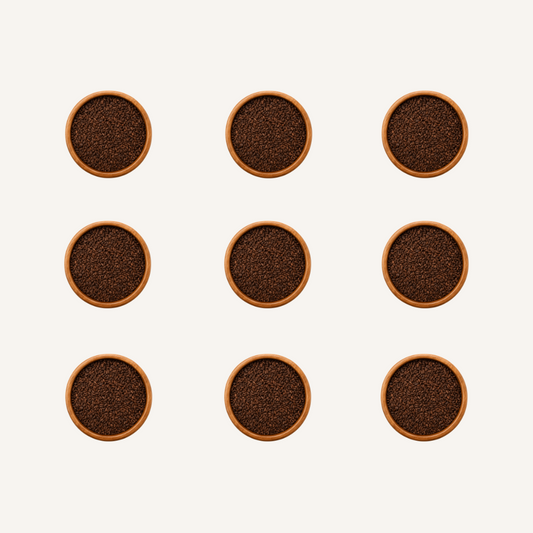 Pure Wild Syrian Rue Seeds - Peganum Harmala