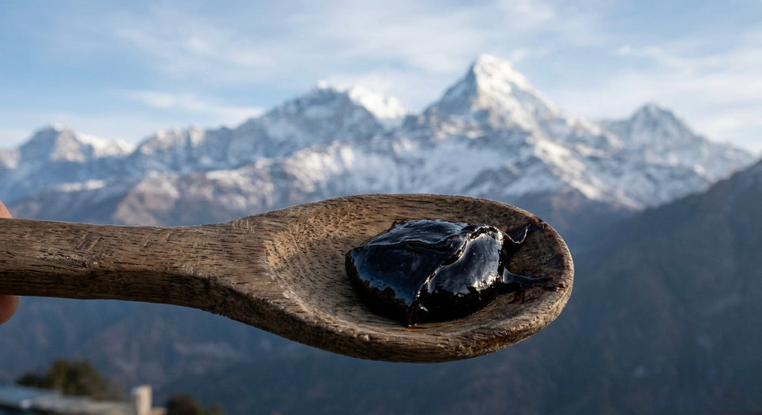 What Shilajit Does to Your Energy Levels (And Why It Takes 3 Weeks)